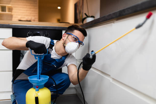 Best Affordable Pest Control Services  in Saluda, SC
