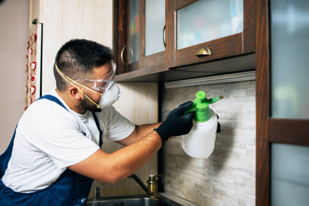 Best Residential Pest Control  in Saluda, SC