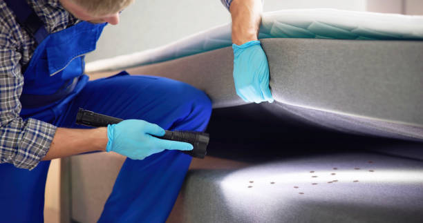 Best Best Pest Control Near Me  in Saluda, SC