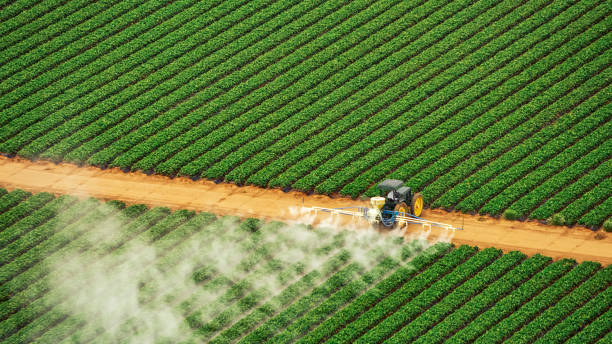 Best Pest Control Near Me  in Saluda, SC