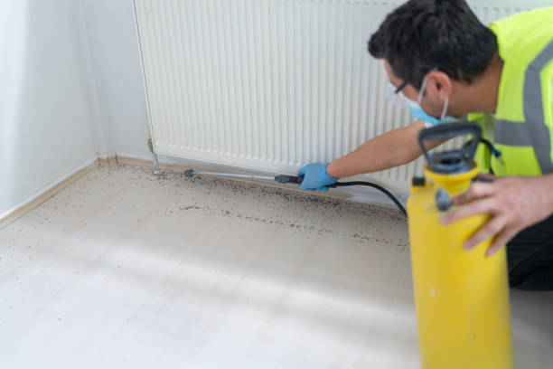 Best Cockroach Control Services  in Saluda, SC