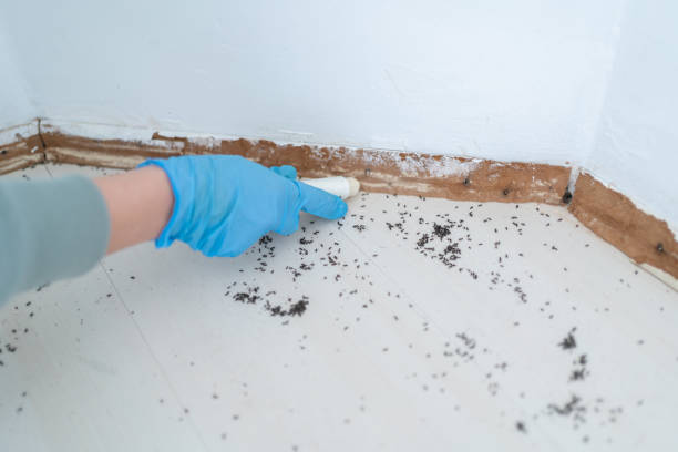 Best Pest Control for Businesses  in Saluda, SC
