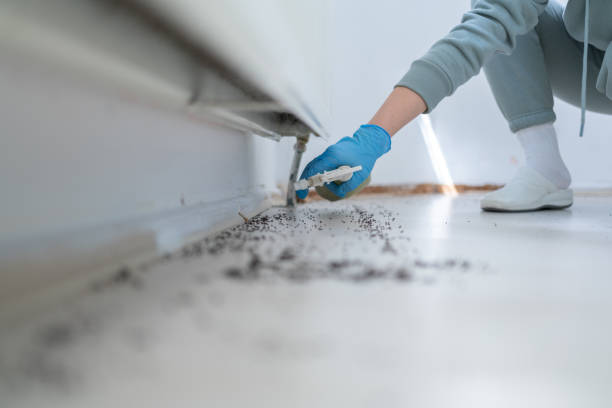 Pest Control Cost in Saluda, SC